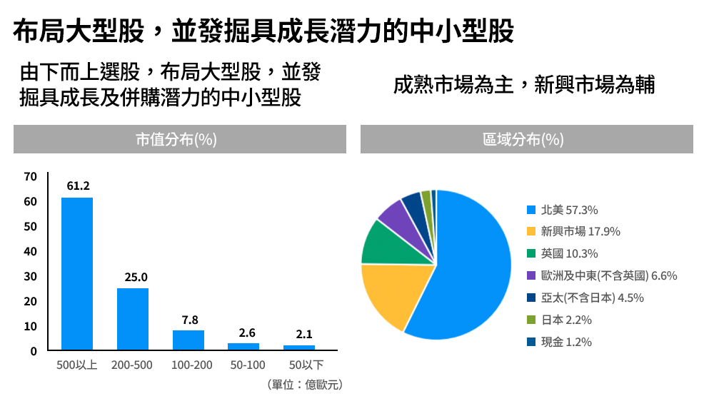 布局大型股，並發掘具成長潛力的中小型股