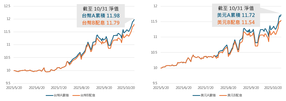 本基金自5/20成立以來淨值走勢圖表
